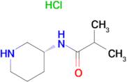 (R)-N-(Piperidin-3-yl)isobutyramide hydrochloride