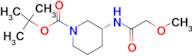 (R)-tert-Butyl 3-(2-methoxyacetamido)piperidine-1-carboxylate