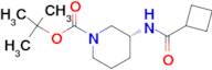 (R)-tert-Butyl 3-(cyclobutanecarbonylamino)piperidine-1-carboxylate