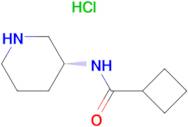 (R)-N-(Piperidin-3-yl)cyclobutanecarboxamide hydrochloride