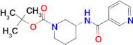 (R)-tert-Butyl 3-(nicotinamido)piperidine-1-carboxylate