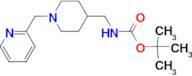 tert-Butyl [1-(pyridin-2-ylmethyl)piperidin-4-yl]methylcarbamate