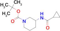 (R)-tert-Butyl 3-cyclopropaneamidopiperidine-1-carboxylate