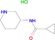 (R)-N-(Piperidin-3-yl)cyclopropanecarboxamide hydrochloride