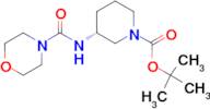 (R)-tert-Butyl 3-[(morpholin-4-yl)carbonyl]aminopiperidine-1-carboxylate