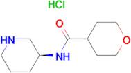 (S)-N-(Piperidin-3-yl)oxane-4-carboxamide hydrochloride