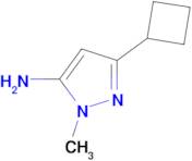 3-Cyclobutyl-1-methyl-1H-pyrazol-5-amine