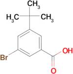 3-Bromo-5-tert-butylbenzoic acid