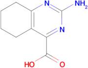 2-Amino-5,6,7,8-tetrahydro-4-quinazoline carboxylic acid