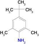 4-tert-Butyl-2,6-dimethylaniline