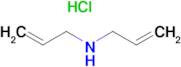 Diallylamine hydrochloride
