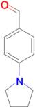 4-Pyrrolidin-1-ylbenzaldehyde