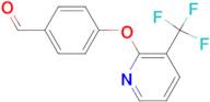 4-{[3-(Trifluoromethyl)pyridin-2-yl]oxy}benzaldehyde