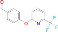 4-{[6-(Trifluoromethyl)pyridin-2-yl]oxy}benzaldehyde