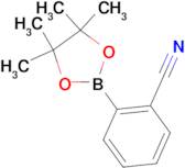 2-(4,4,5,5-Tetramethyl-1,3,2-dioxaborolan-2-yl)benzonitrile