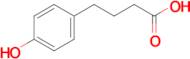 4-(4-Hydroxyphenyl)butanoic acid