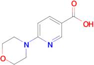 6-Morpholinonicotinic acid