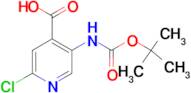 5-[(tert-Butoxycarbonyl)amino]-2-chloroisonicotinic acid