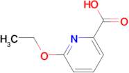 6-Ethoxypyridine-2-carboxylic acid