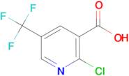 2-Chloro-5-(trifluoromethyl)nicotinic acid