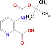 3-[(tert-Butoxycarbonyl)amino]pyridine-2-carboxylic acid