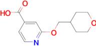 2-(Tetrahydro-2H-pyran-4-ylmethoxy)isonicotinic acid