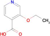 3-Ethoxyisonicotinic acid