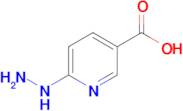 6-Hydrazinonicotinic acid