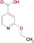 2-Ethoxyisonicotinic acid