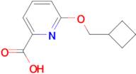 6-(Cyclobutylmethoxy)pyridine-2-carboxylic acid