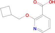 2-(Cyclobutylmethoxy)nicotinic acid