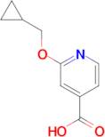 2-(Cyclopropylmethoxy)isonicotinic acid