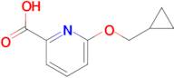 6-(Cyclopropylmethoxy)pyridine-2-carboxylic acid