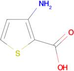 3-Aminothiophene-2-carboxylic acid