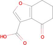 4-Oxo-4,5,6,7-tetrahydro-1-benzofuran-3-carboxylic acid