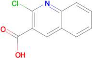 2-Chloro-3-quinolinecarboxylic acid