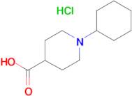 1-Cyclohexylpiperidine-4-carboxylic acid hydrochloride