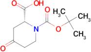 (2R)-1-(TERT-BUTOXYCARBONYL)-4-OXOPIPERIDINE-2-CARBOXYLIC ACID