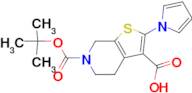 6-(tert-Butoxycarbonyl)-2-(1H-pyrrol-1-yl)-4,5,6,7-tetrahydrothieno[2,3-c]pyridine-3-carboxylic ...