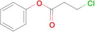 Phenyl 3-Chloropropanoate