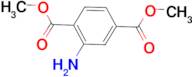 Dimethyl 2-Aminoterephthalate