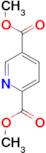 Dimethyl Pyridine-2,5-dicarboxylate