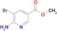 Methyl 6-Amino-5-bromonicotinate