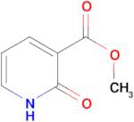 Methyl 2-Hydroxynicotinate