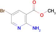 Methyl 2-Amino-5-bromonicotinate