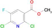 Methyl 2,6-Dichloro-5-fluoronicotinate