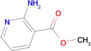 Methyl 2-Aminonicotinate