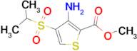 Methyl 3-Amino-4-(isopropylsulfonyl)thiophene-2-carboxylate