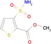 Methyl 3-(Aminosulfonyl)thiophene-2-carboxylate