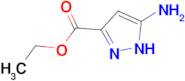Ethyl 5-Amino-1H-pyrazole-3-carboxylate